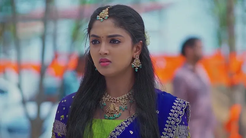 Meghasandesam - April 10, 2025 - Best Scene