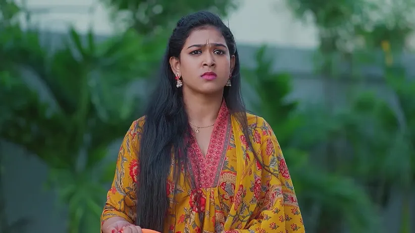 Meghasandesam - April 08, 2025 - Webisode