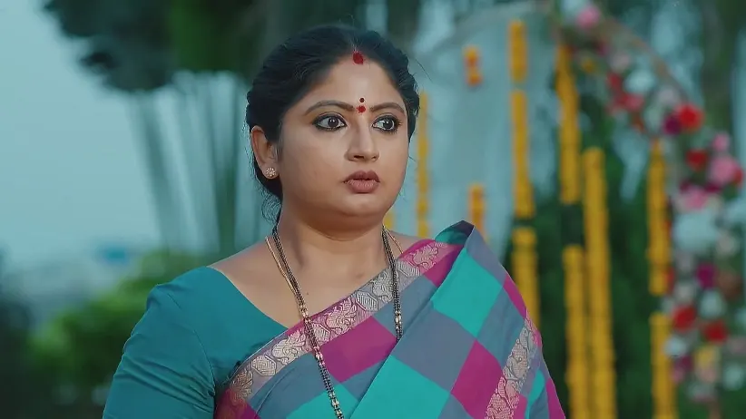 சாமந்தி