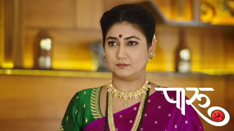 Damini's Conspiracy against Paaru