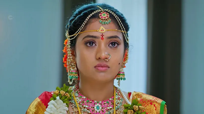 Gayatri Slaps Vasuki