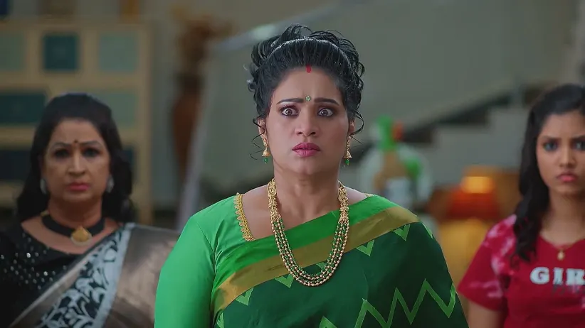 Meghasandesam - April 19, 2025 - Best Scene
