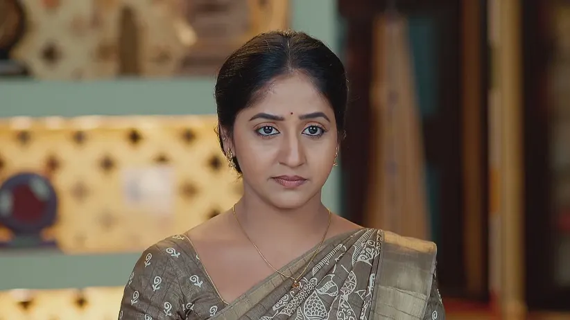 Maa Annayya - April 14, 2025 - Webisode