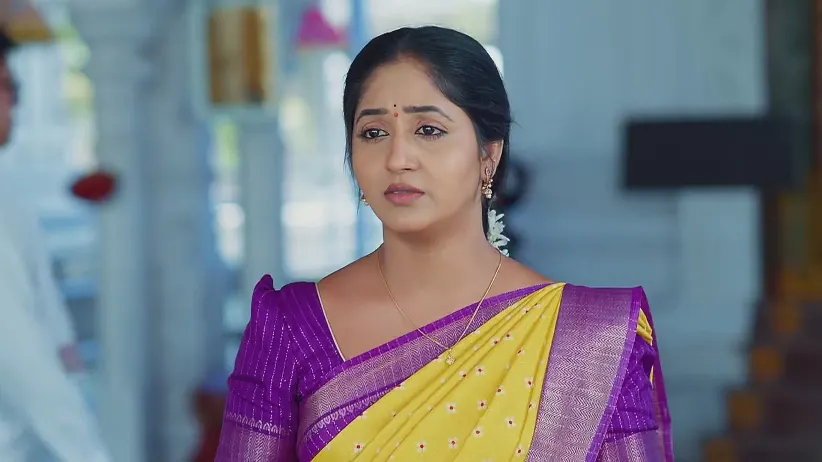 Maa Annayya - April 17, 2025 - Webisode