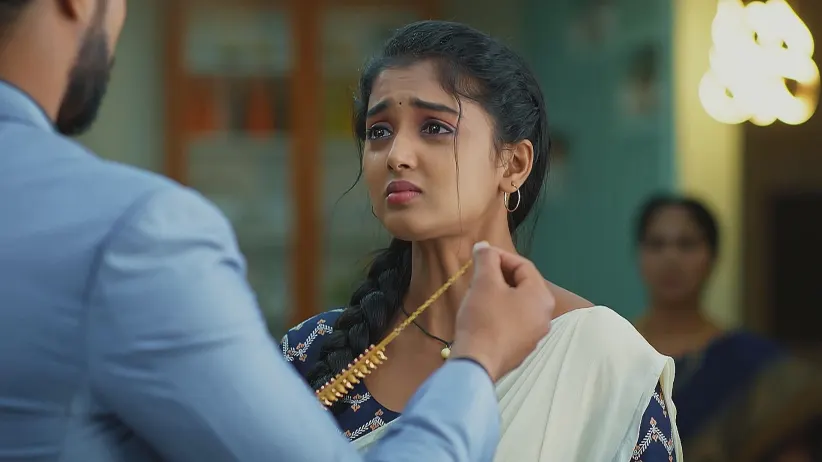 Meghasandesha - April 20, 2025 - Episode Spoiler