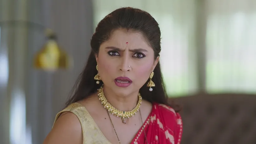 Pritam Lies to Damini and Manages the Situation - Paaru