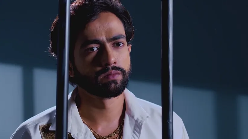 Shyamoli's Actions Shock Rohini