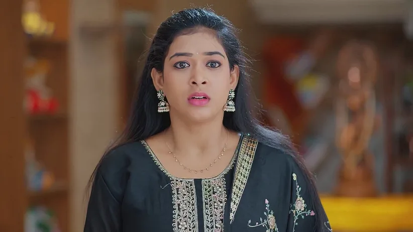 Meghasandesam - April 21, 2025 - Best Scene