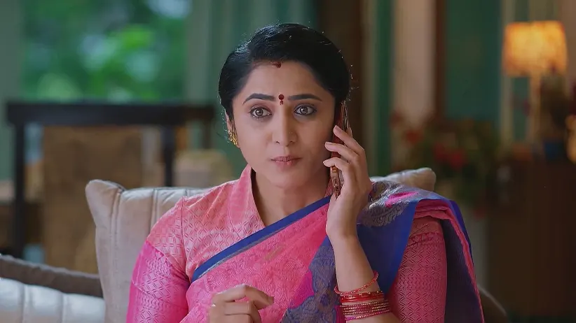 Meghasandesam - April 24, 2025 - Best Scene