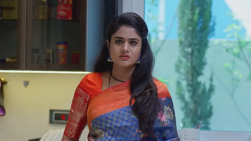 Jagadhatri - April 22, 2025 - Best Scene