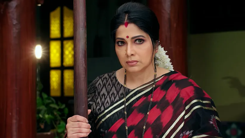 Hamsa Slanders Seetharatna's Character
