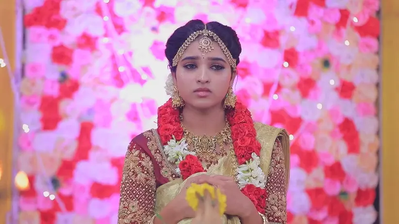 Karikalan Decides to Help Vanathi