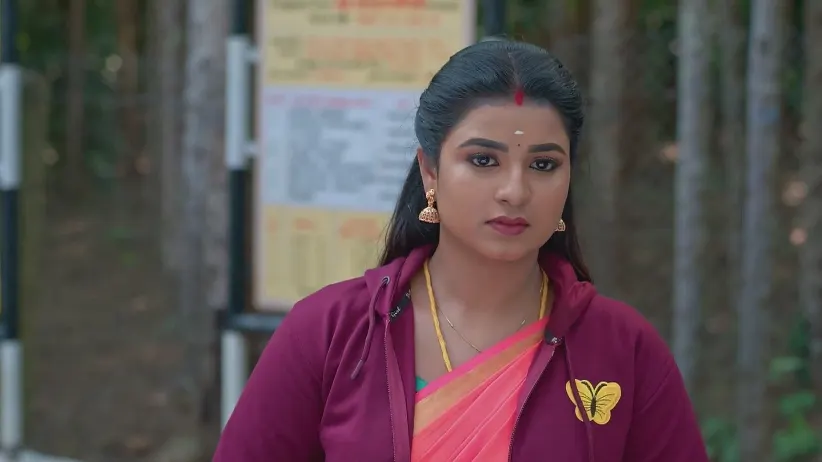 ராஜா-ரேவதியை போட்டோ எடுக்கும் திவ்யா - கார்த்திகை தீபம்