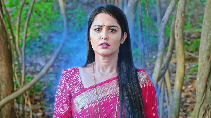 Naa Ninna Bidalaare - 02 May, 2025