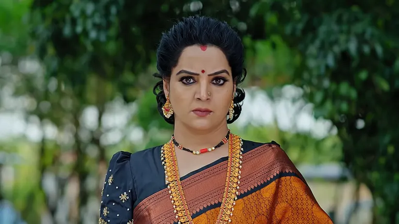 Ummadi Kutumbam - April 29, 2025 - Episode Spoiler