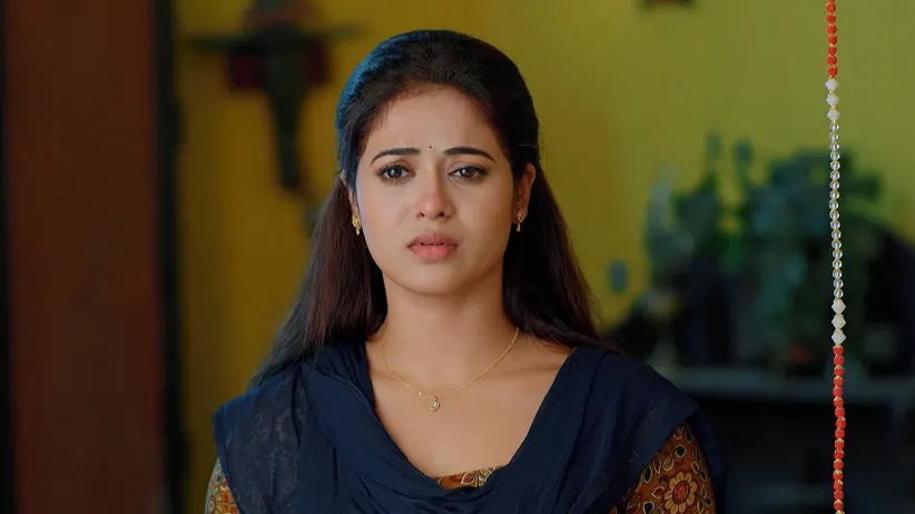 Lakshmi Nivasam - May 03, 2025 - Episode Spoiler