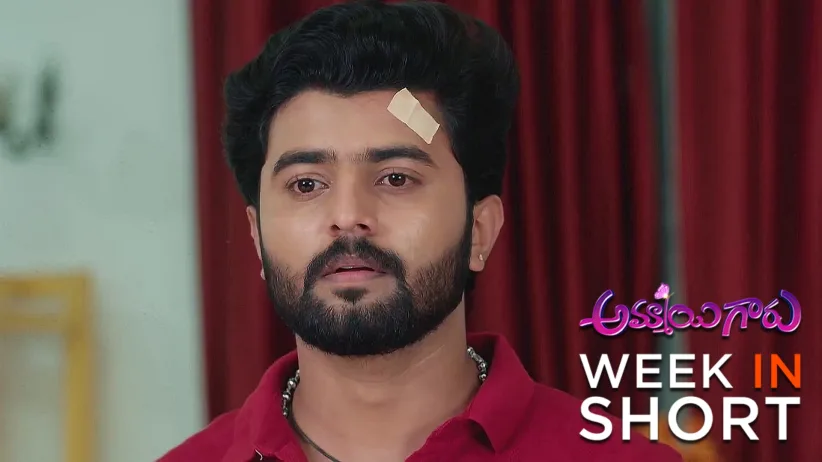 Ammayi Garu |April 21st  to April 25th, 2025