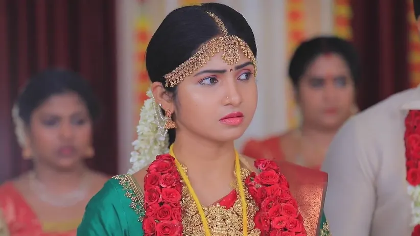 Nandini Speaks Harshly - Manasellam