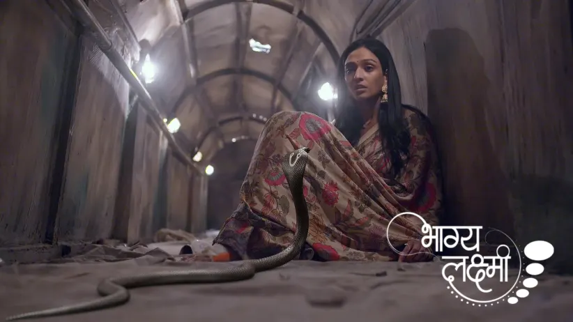 Shalu Arrives at the Basement