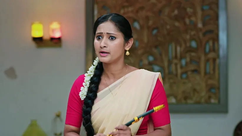 Naa Ninna Bidalaare - May 09, 2025 - Episode Spoiler