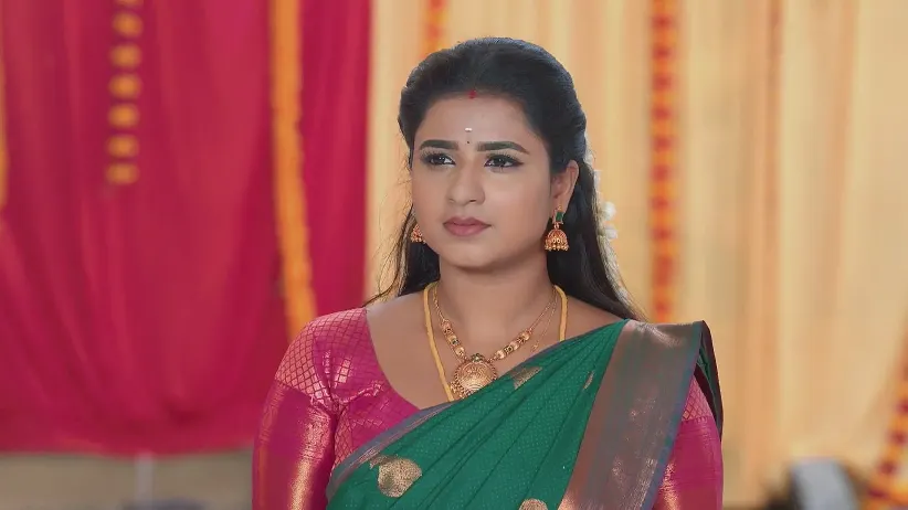 Karthigai Deepam - May 05, 2025 - Webisode