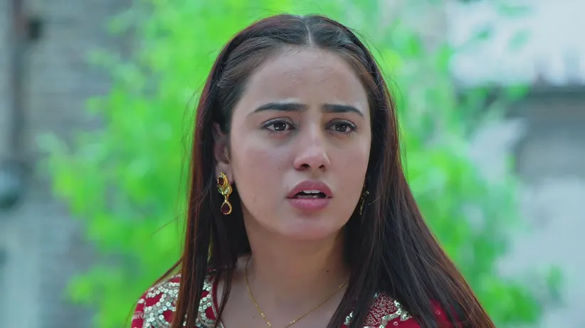 Sehajveer - 26 May, 2025