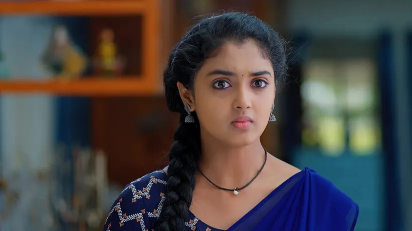 Meghasandesam - May 14, 2025 - Episode Spoiler