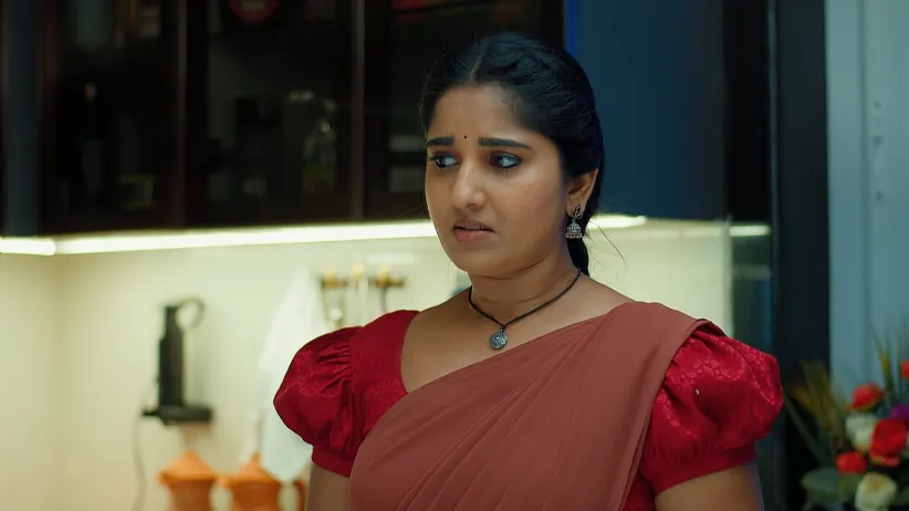 Chamanthi - May 13, 2025 - Episode Spoiler