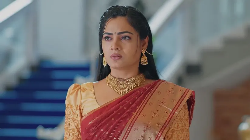 Lakshmi Nivasam - May 17, 2025 - Best Scene
