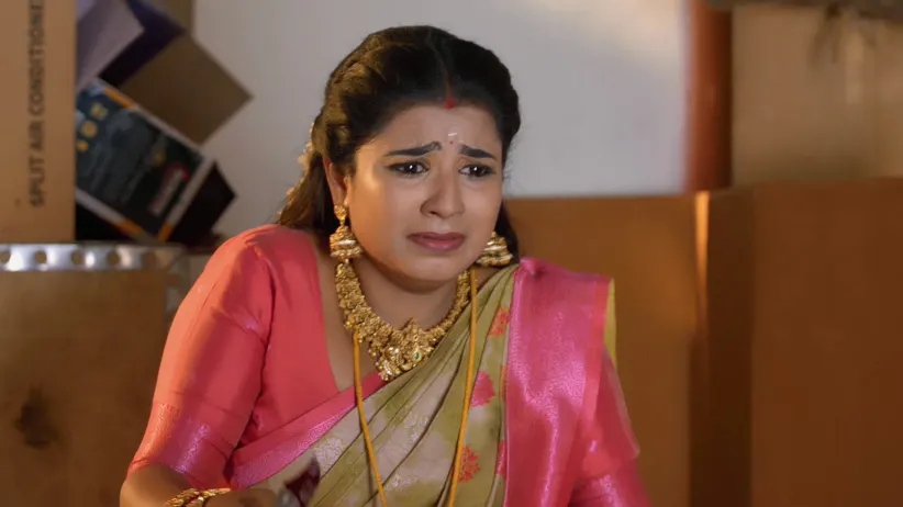 Karthigai Deepam - May 12, 2025 - Episode Spoiler