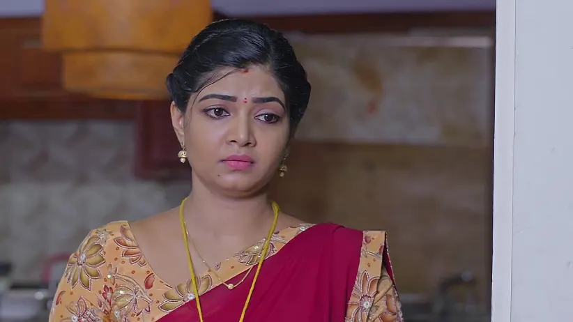 Kalavaari Kodalu Kanakamahalakshmi - May 19, 2025 - Webisode