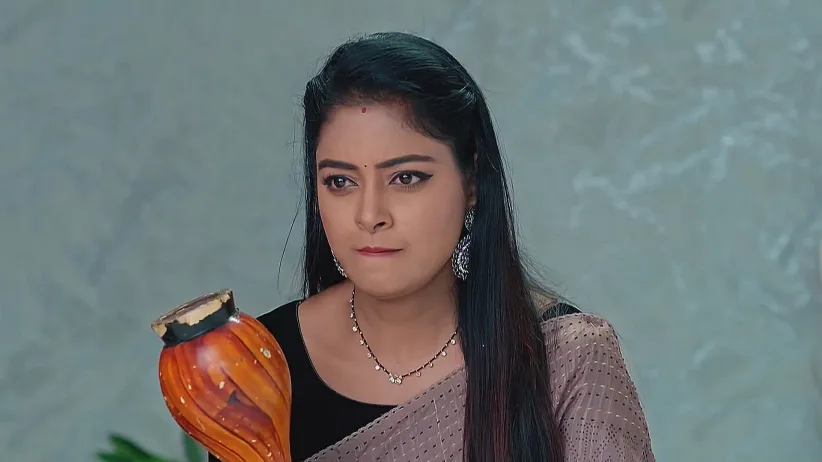 Jagadhatri - May 20, 2025 - Webisode