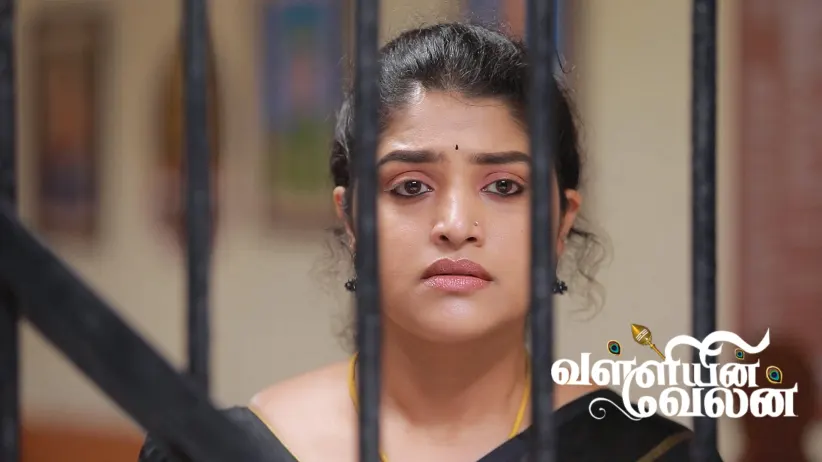The Judge Scolds Velan