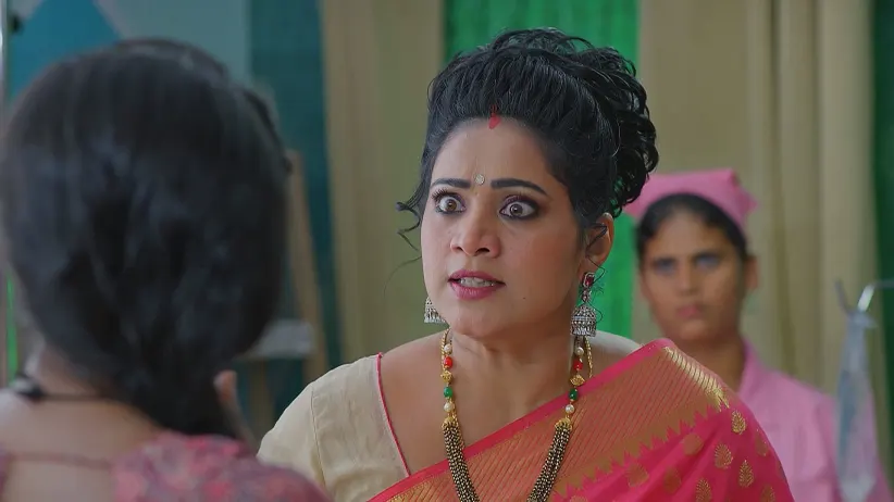 Meghasandesha - June 08, 2025 - Episode Spoiler