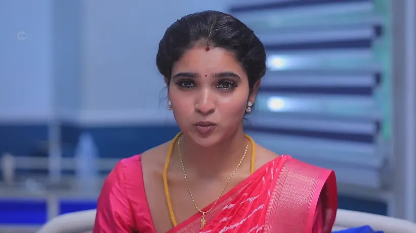 மனசெல்லாம் - ஜூன் 06, 2025 - வெபிஸோட்