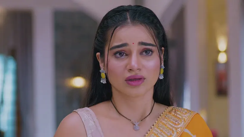 Lakshmi Niwas - June 11, 2025 - Best Scene