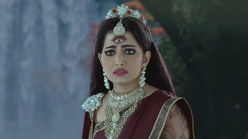 Kachhua Dadi Helps Parul and Raghav