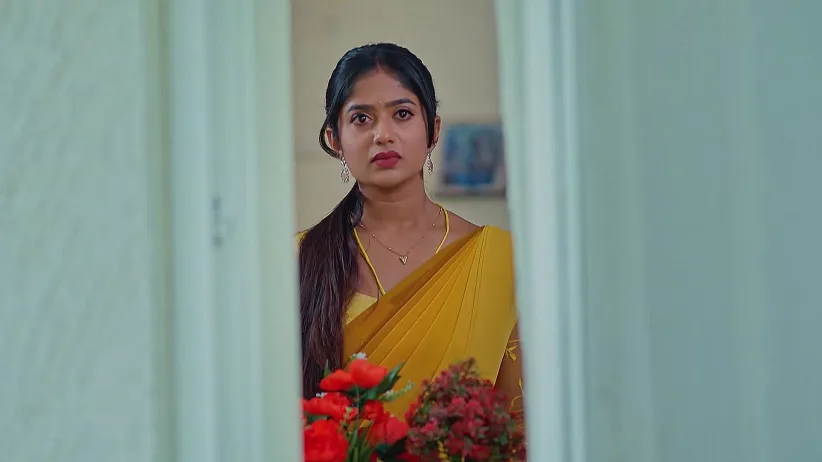 Padamati Sandhyaragam - June 17, 2025 - Webisode