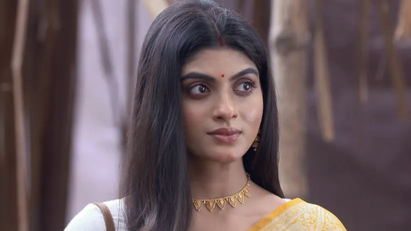 Parineeta - June 28, 2025 - Episode Spoiler