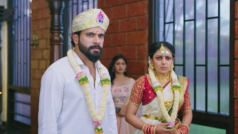 Amruthadhaare - June 28, 2025 - Webisode