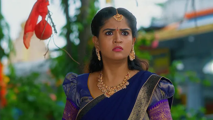 Lakshmi Nivasam - June 28, 2025 - Episode Spoiler