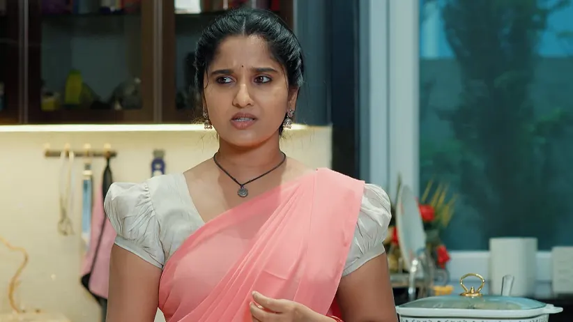Chamanthi - June 27, 2025 - Episode Spoiler