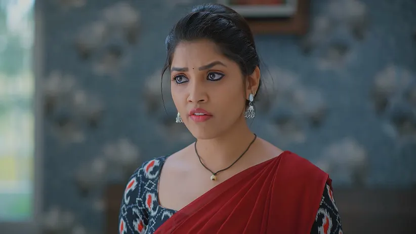Meghasandesha - June 28, 2025 - Episode Spoiler