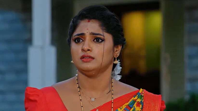ಮೊಮ್ಮಗಳು - 24 ಜೂನ್, 2025
