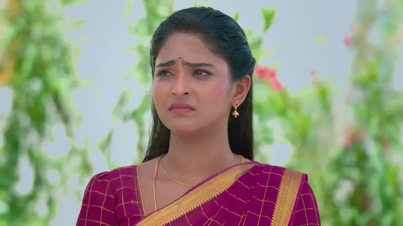 Maya Stops Dhanalakshmi