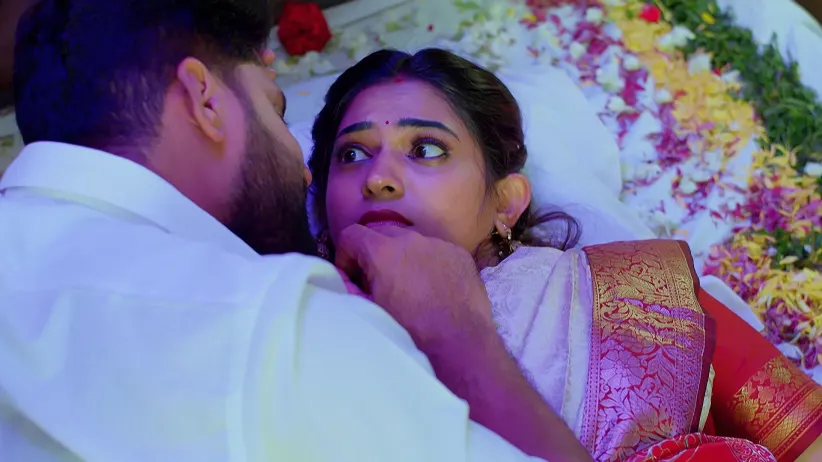 Nindu Noorella Saavasam - July 03, 2025 - Episode Spoiler
