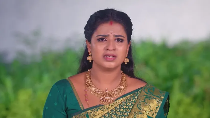 Karthigai Deepam - July 01, 2025 - Webisode