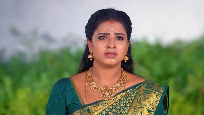 Karthigai Deepam - July 01, 2025 - Episode Spoiler