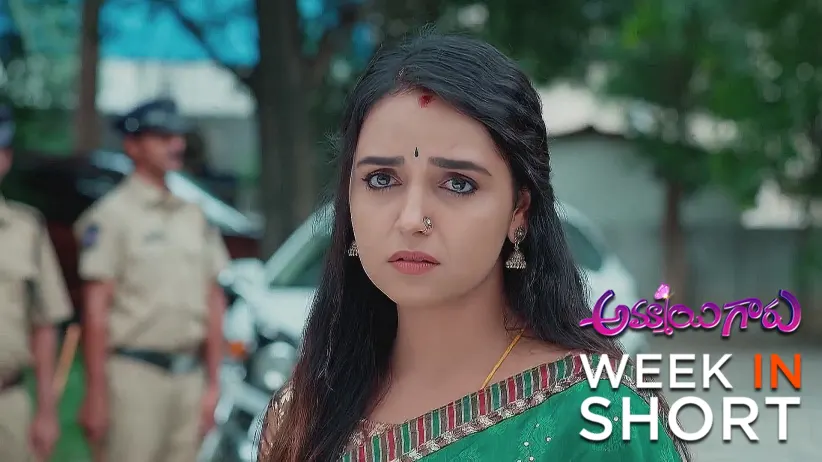 Ammayi Garu | July 14 - July 18, 2025