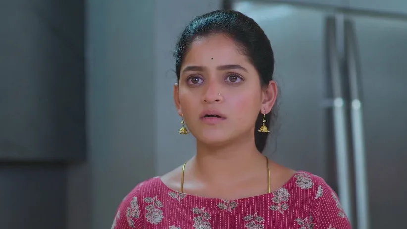 Lakshmi Niwas - July 30, 2025 - Best Scene